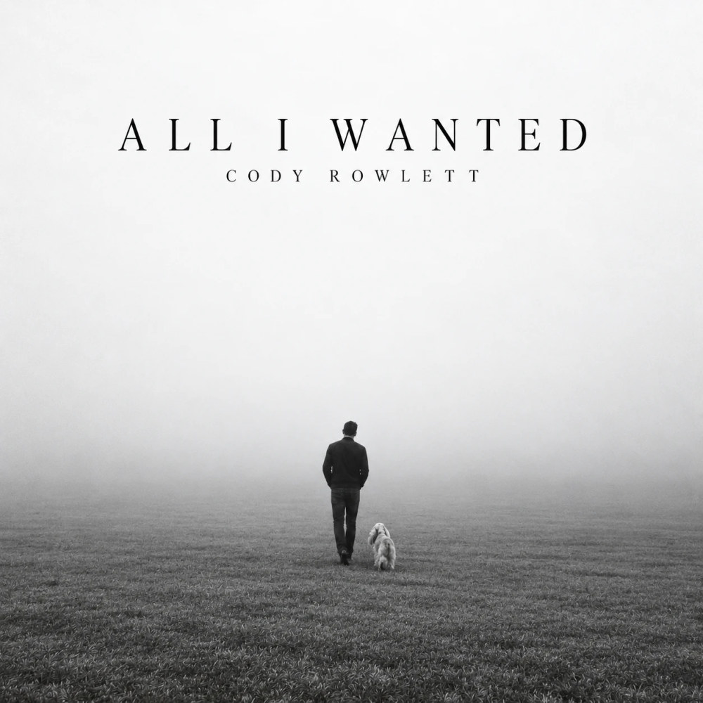 All I Wanted cover