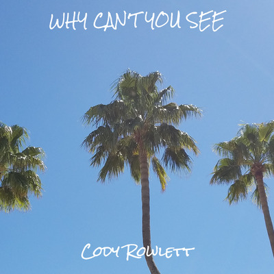 Why Can't You See cover